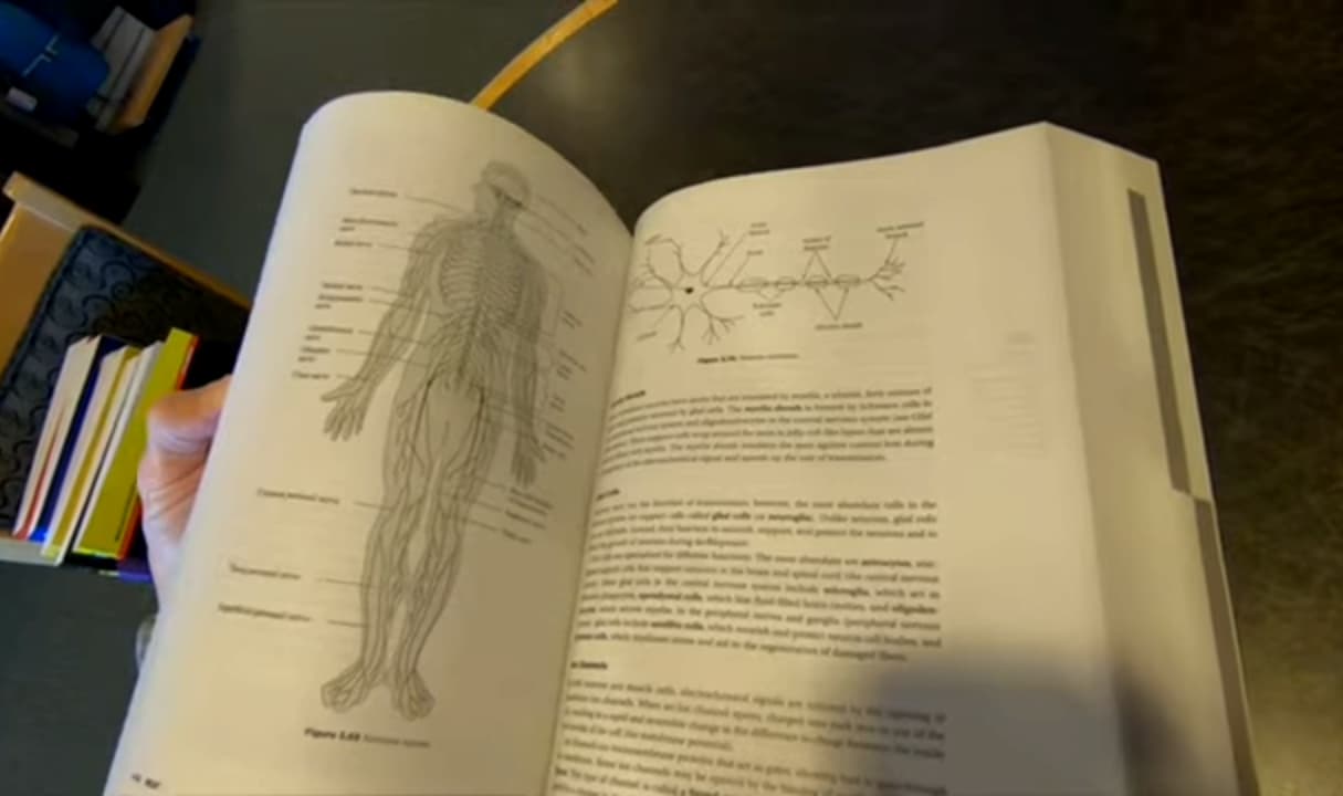 Barron's MCAT books