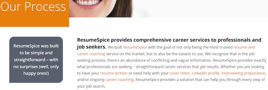 ResumeSpice - our process
