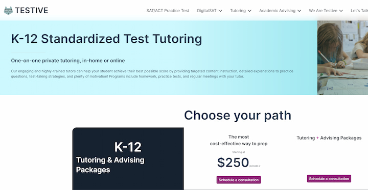 Testive Review K12 Tutoring
